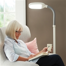 Energy Efficient Floor Lamp
