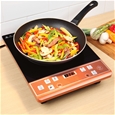 Portable Induction Cooker_PIDC_1